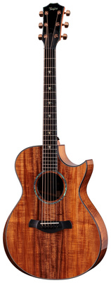 Taylor C22ce B6041 Custom #41