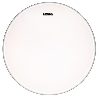 Evans 20" UV2 Coated Bass