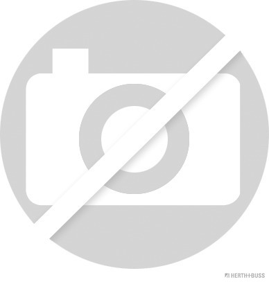 HERTH+BUSS ELPARTS Kabelbinder 50266606 von Hand einreißbar schwarz Image