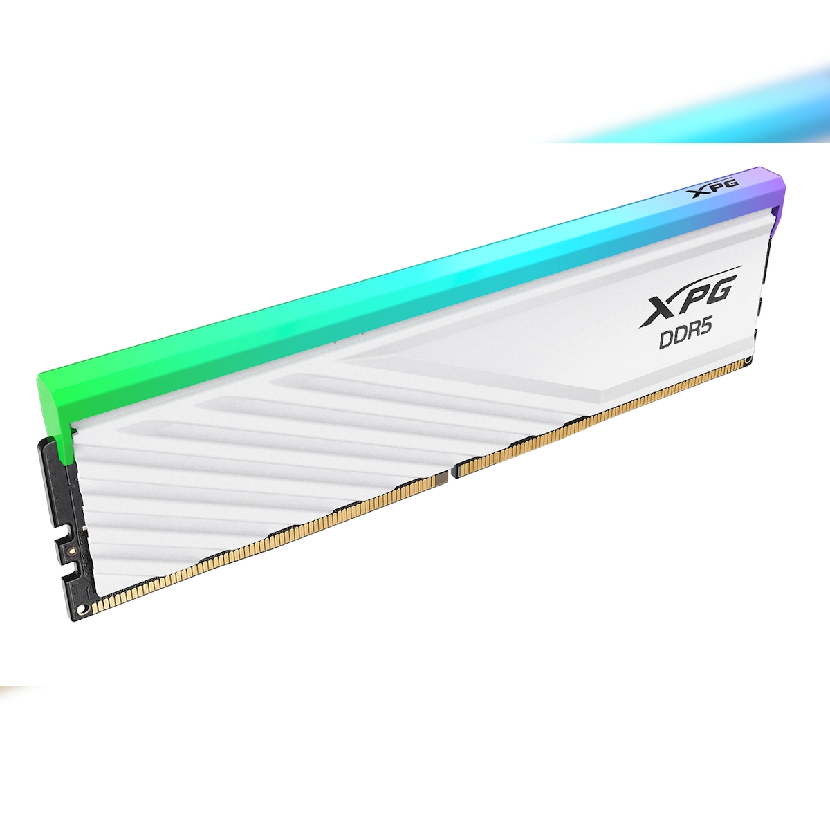 ADATA DIMM 8 GB DDR5-5600 (1x 8 GB), Arbeitsspeicher Image