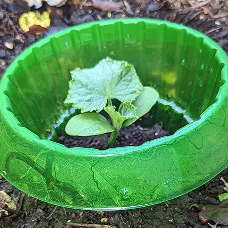 Schneckenhalsband, Pflanzen decken Sämlinge ab, Gartengeräte, Gartenbedarf, Gegenstände, Gemüsezubehör, Landwirtschaft, Landwirtschaft Image