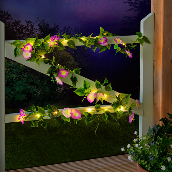 Solar-Girlande Petunien Image