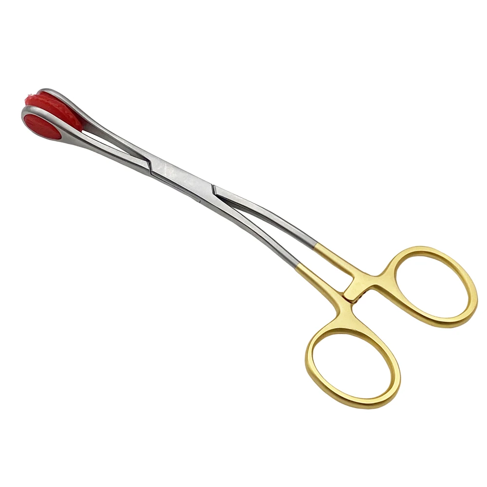 Haustier-Zungenzange aus Edelstahl mit Silikon-Werkzeugen zum Öffnen des Haustiermunds, mündliche Untersuchung, Orthopädie-Instrument Image