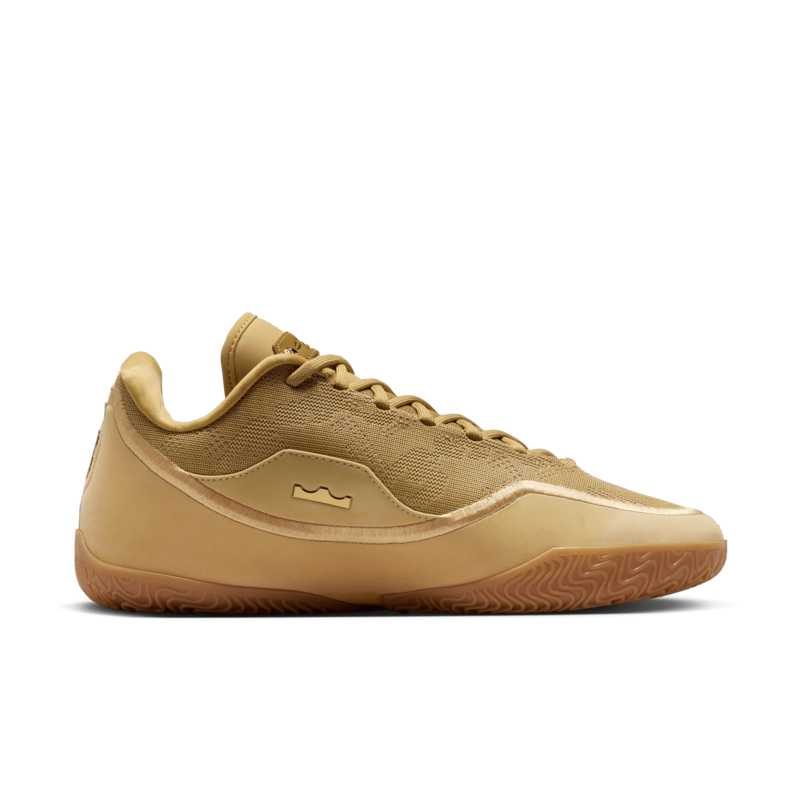 "NBA LEBRON XXIII - Honor Society Trainer" Image