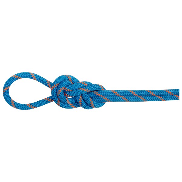 Mammut - 8.0 Alpine Dry Rope - Halbseil Länge 50 m blau/weiß