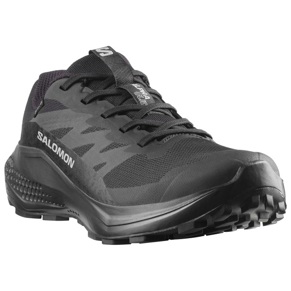 Salomon - Women's Alphaglide GORE-TEX - Trailrunningschuhe 37 1/3 | EU 37 grau