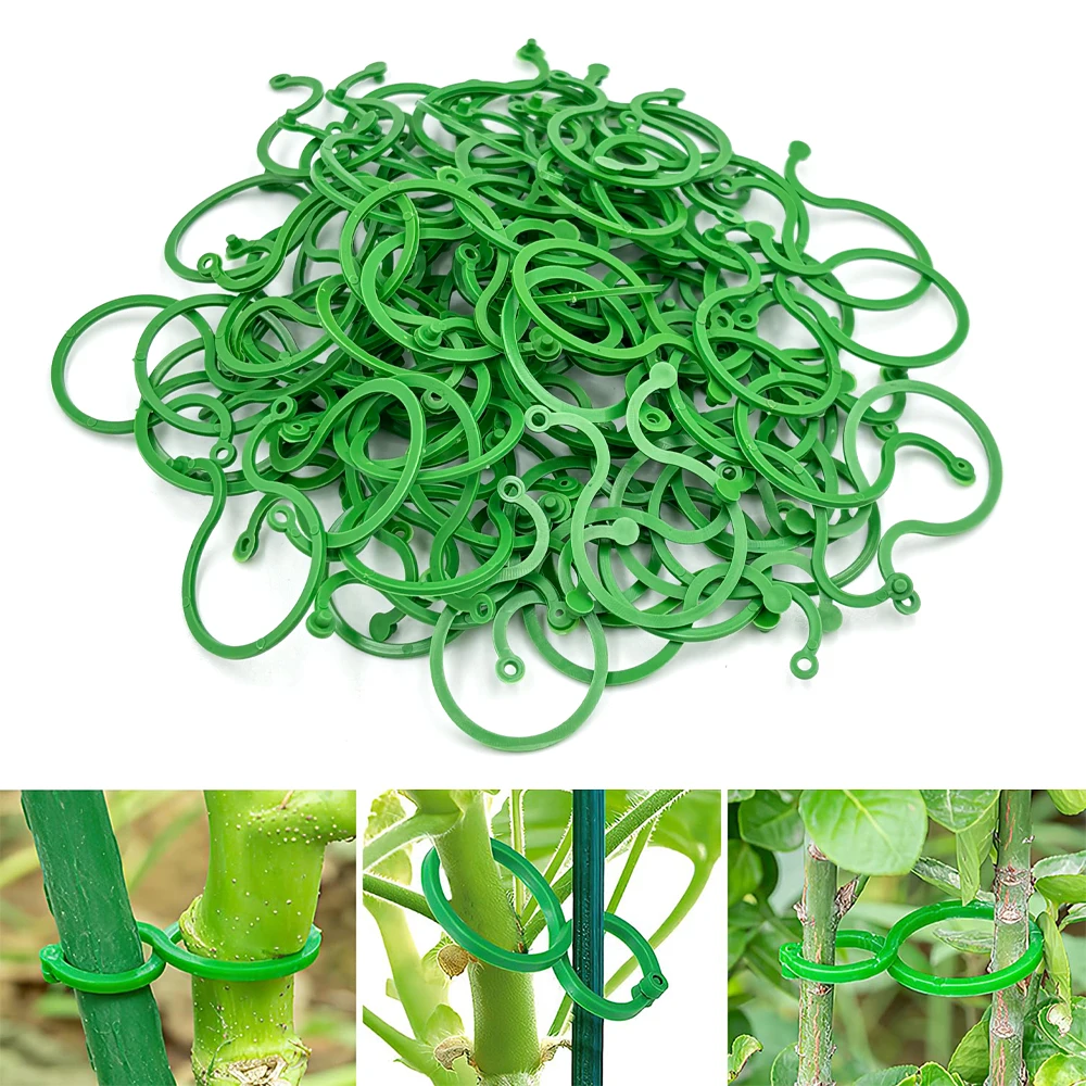 50 Stücke 8 Wort Schnalle Reben Binden Clips Ring Befestigung Halterung Garten Pflanzenhalter Werkzeuge Gartendekorationen Anlage Klettern Wand Clips Image