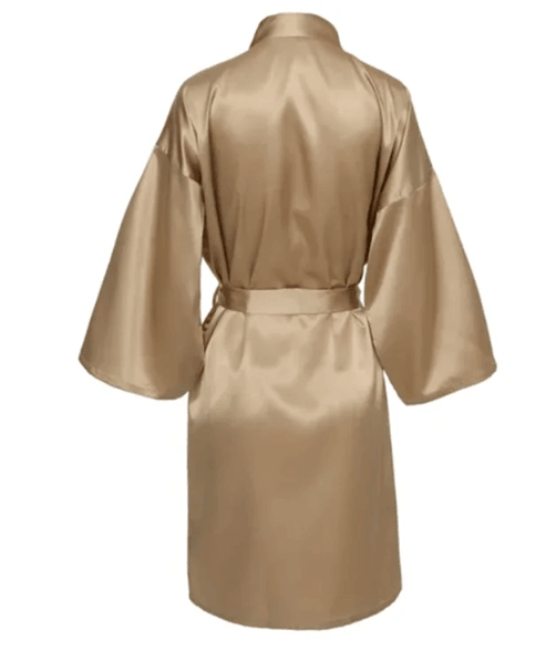 Elegant Satin Night Robe For Women With V Neck And Belted Waist 2 m