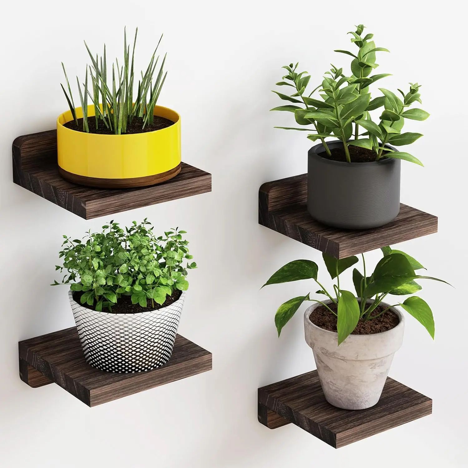 4 Pack Mini Wood Floating Wall Shelves 5 Inch black
