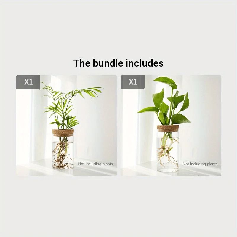 Desktop Hydroponic Plant Propagation Glass Vase a 1 Pc