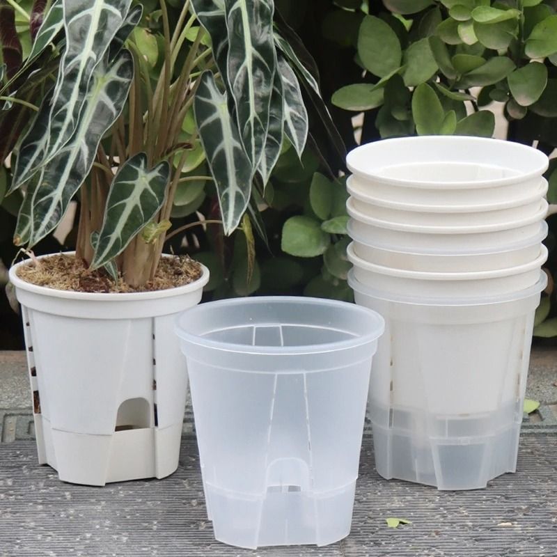 Transparent Self Watering Plant Pot High Performance Plastic Planter With Precision Drainage Holes s3 M