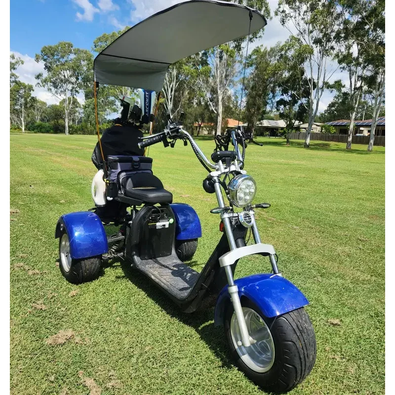 Fabrik Heißer Verkauf Australien Markt Elektro Trike 3 Rad Elektrische Golf Citycoco E Roller Erwachsene 3000 W 2000 W E Roller drei Image