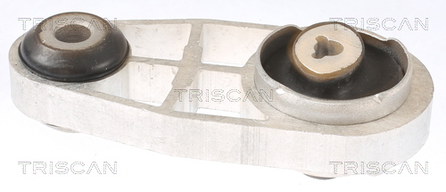 TRISCAN Lagerung, Motor 850525128 für RENAULT