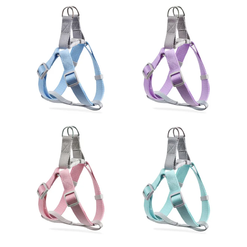 Gilet per imbracatura per cani per cani di piccola taglia Gilet per imbracatura per cuccioli regolabile con guinzaglio Corda per animali domestici per passeggiate all'aperto Imbracatura per gatti