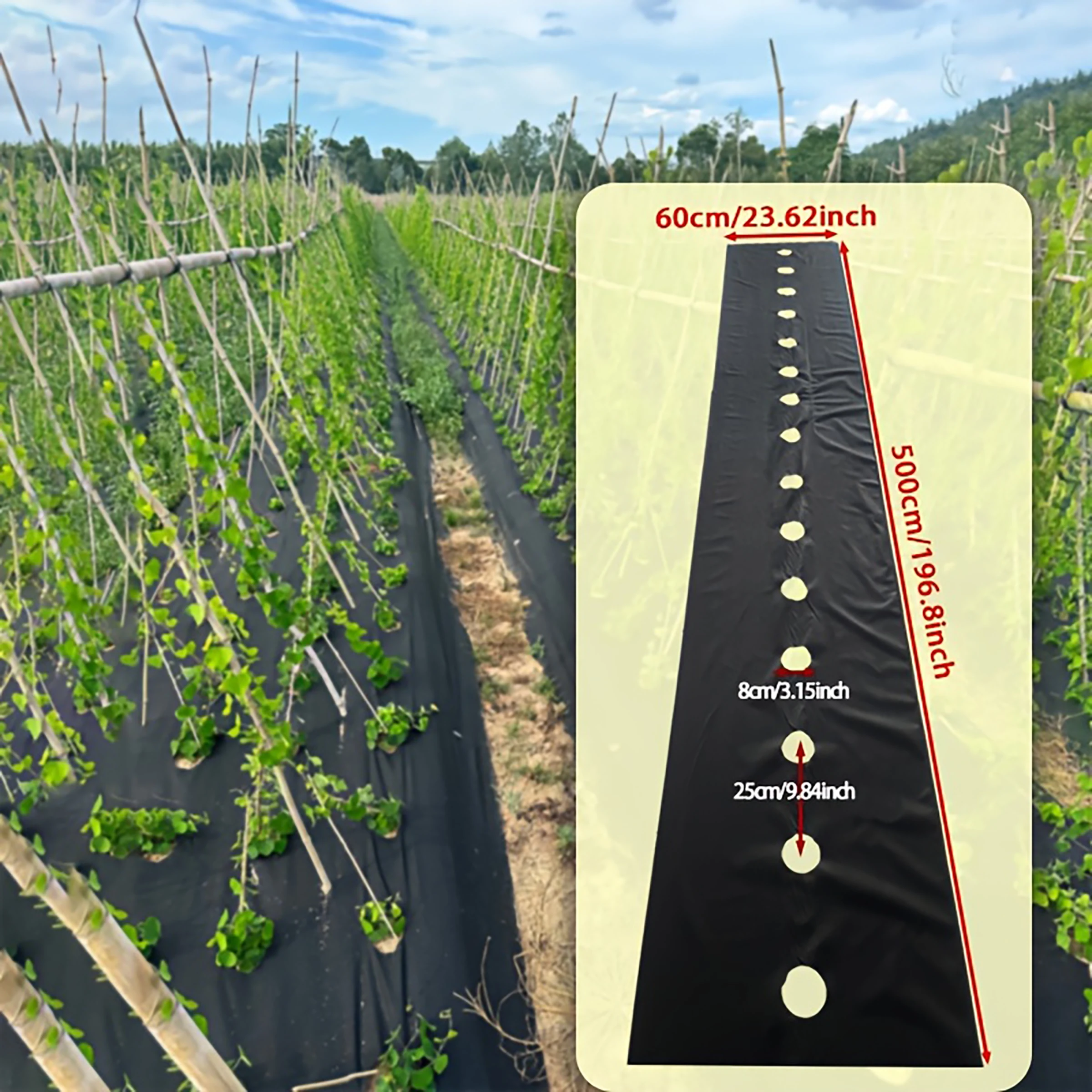 Schwarzer, perforierter, atmungsaktiver, grasfester Vliesstoff, 23,62 x 196,85 Zoll, geeignet für Gemüsegärten und Gartenüberzüge Image