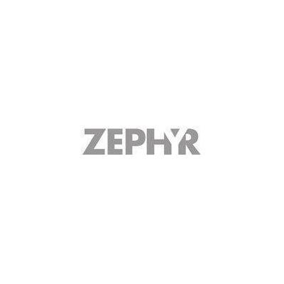 Zephyr 36 " Stainless Steel Hood Liner For Tornado II Power Pack - AK0806AS