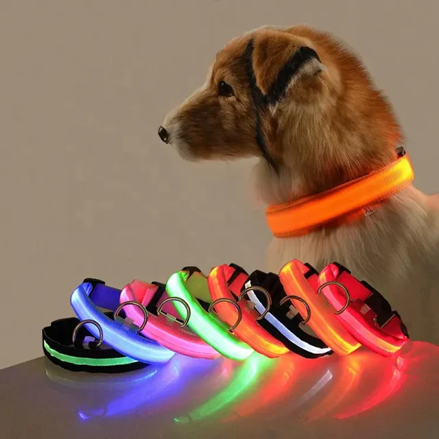 Collare per cani da compagnia a LED In Nylon sicurezza notturna lampeggiante bagliore al buio guinzaglio per cani collari fluorescenti luminosi per cani forniture per animali domestici