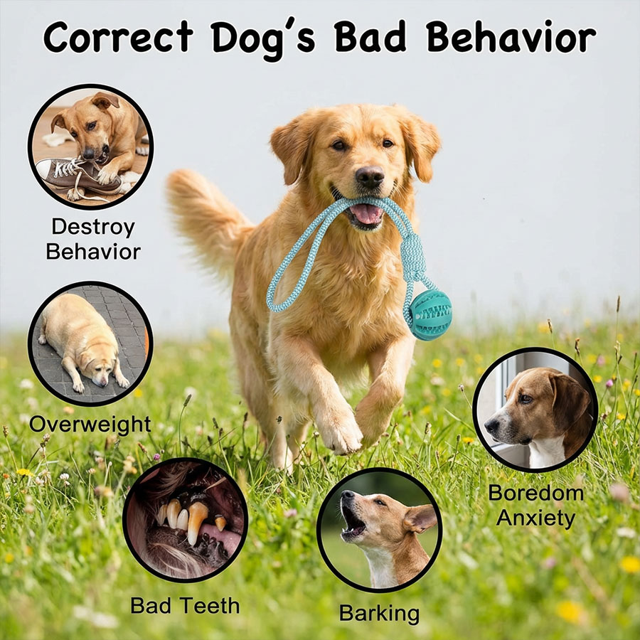Interactive Dog Tug Toy With Rubber Ball Durable Rope Training Toy For Small Medium Dogs Interactive Dog Tug Toy With Rubber Ball Durable Rope Training Toy For Small Medium Dogs