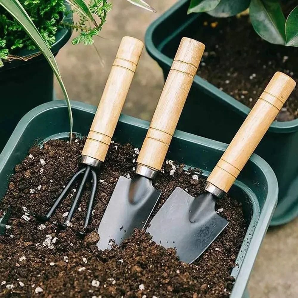 3Pcs Set Mini Garden Tool Set For Succulents Indoor Small Plants Digging And Weeding 2