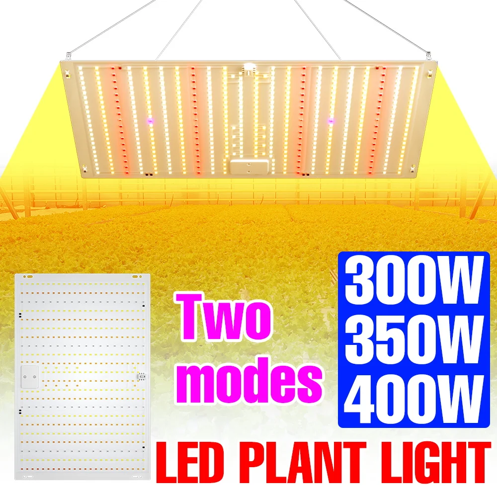 400W LED Pflanzenlampe Vollspektrum Quantum Board Wachstumslampe für Gewächshaus, Zelt, Topfpflanzen, Blumen, Gemüse, Wachstumsbox, Kultivierungsbeleuchtung
