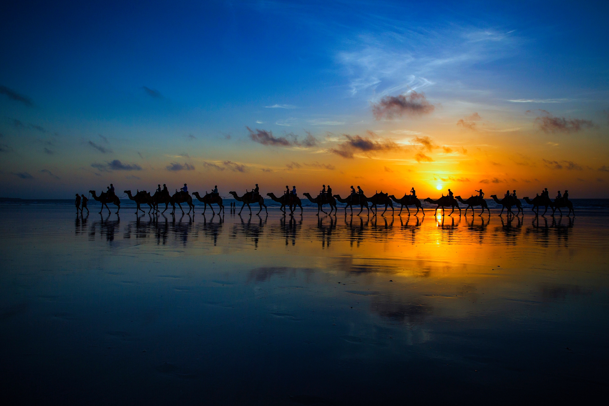 Fototapete PAPERMOON "Photo-Art LOUISE WOLBERS, SUNSET CAMEL RIDE", bunt, B:3m L:2,23m, Vlies, Tapeten Image