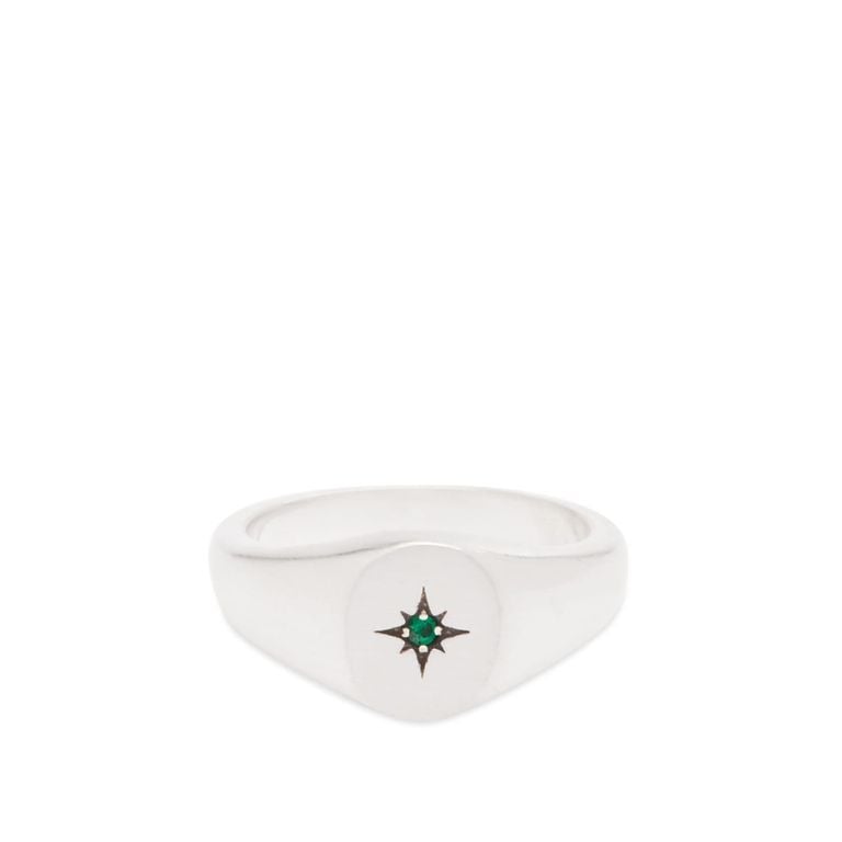 Envy Signet Ring - Metallic - Serge Denimes Rings