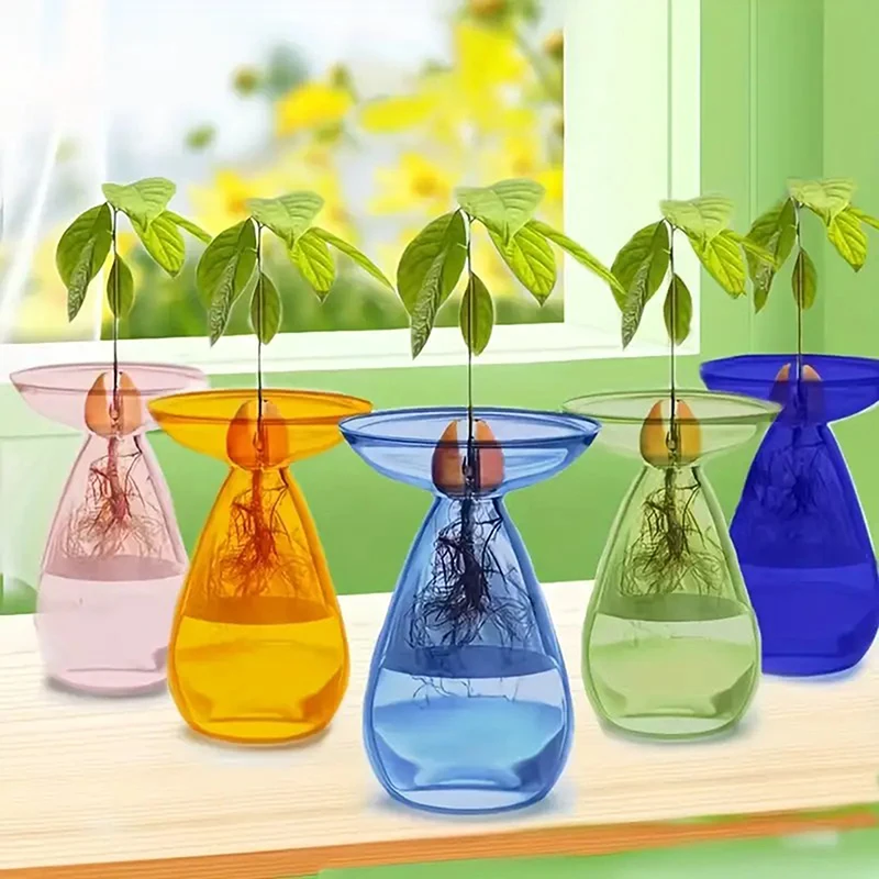 Bunte Transparente Avocado-Hydrokultur-Vase Glas-Avocadokern-Startervase Pflanzensamen-Anzuchtset für Gartenliebhaber Zuhause Image