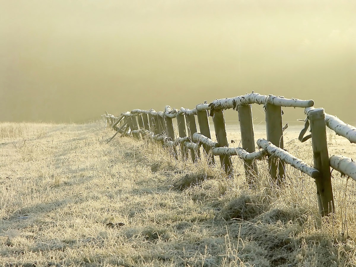 Fototapete PAPERMOON "Zaun im nebligen Feld", bunt, B:2,5m L:1,86m, Vlies, Tapeten Image