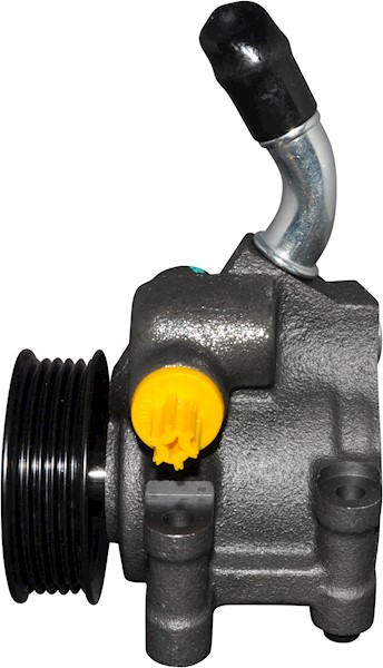 JP GROUP Hydraulikpumpe, Lenkung 1545101100 für Ford MAZDA