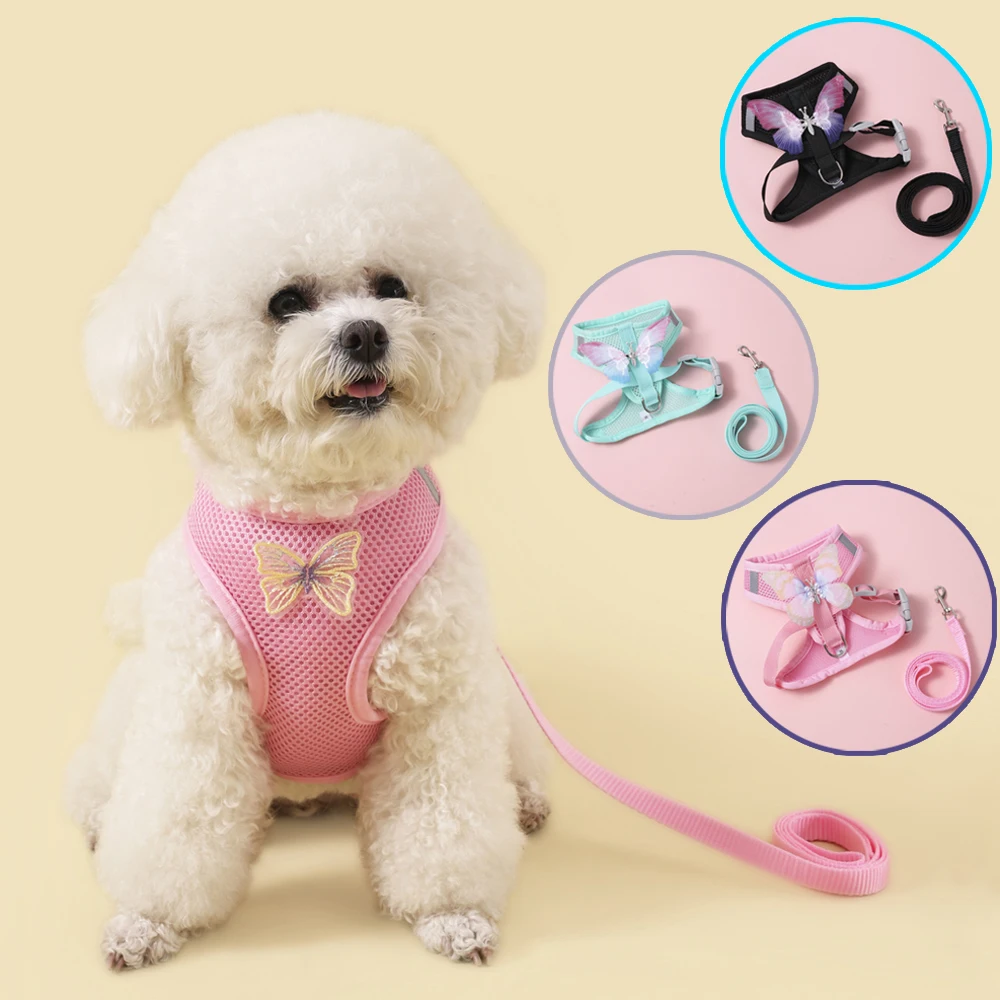 Ensemble de harnais papillon respirant pour chien, mignon, pour petit chat, laisse, gilet de poitrine pour chiot, accessoires de harnais pour chien de marche en plein air