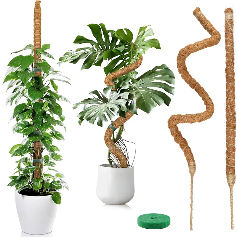 Pflanzenmoos Kokosfaser-Stäbe Biegbare Kletterpflanzen-Stütze Verlängerung Palmenranken-Stäbe für Innenbereich Balkon Garten Hof Blumendekoration Image