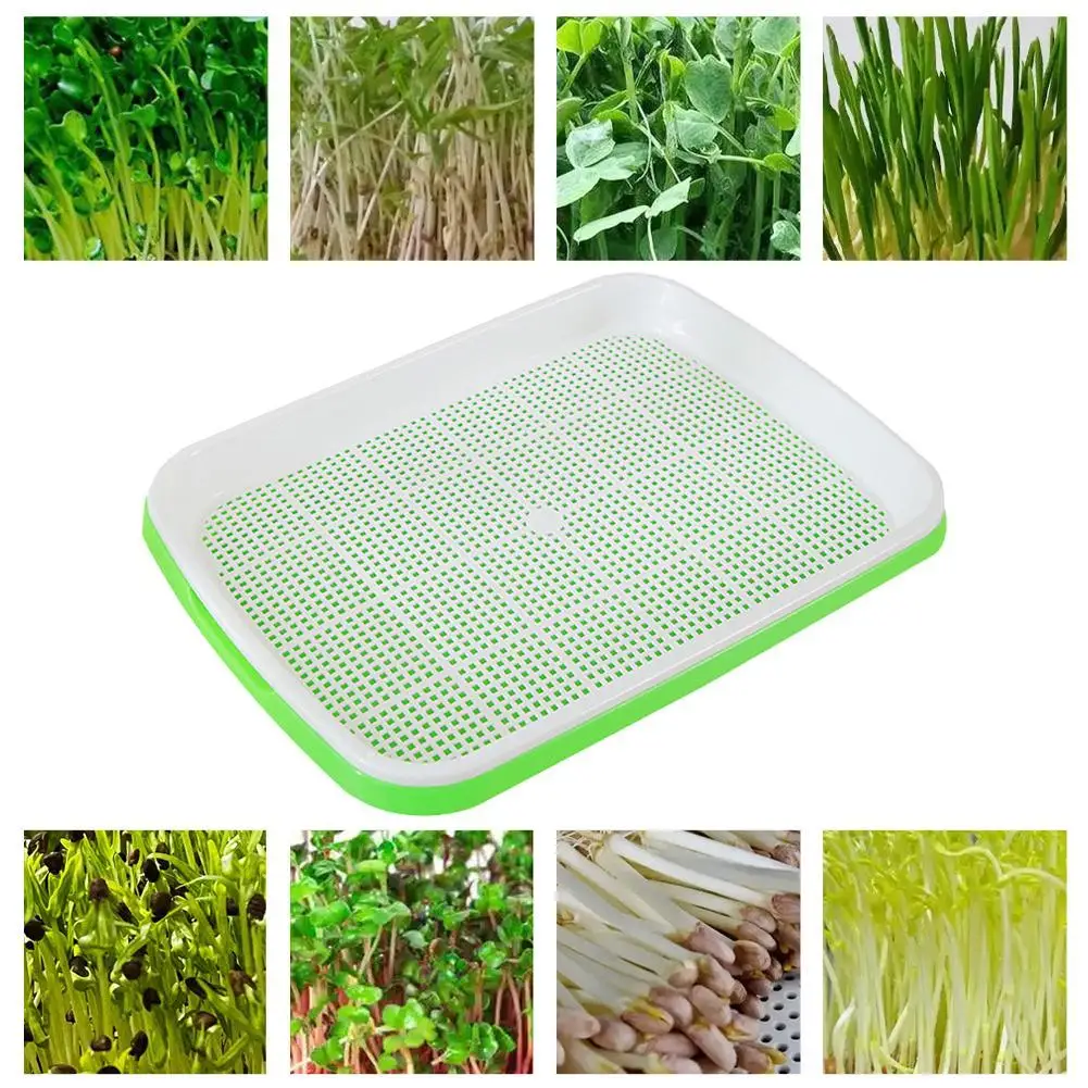 Microgreens 2-lagiges Hydrokultur-Sprossenbrett, Anti-Mücken-Biss-Schutz, 21,5 cm x 13,5 cm x 3 cm, für Garten und Landwirtschaft, zum Kultivieren und Anbau von Pflanzen Image