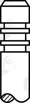 AE v95303 Image