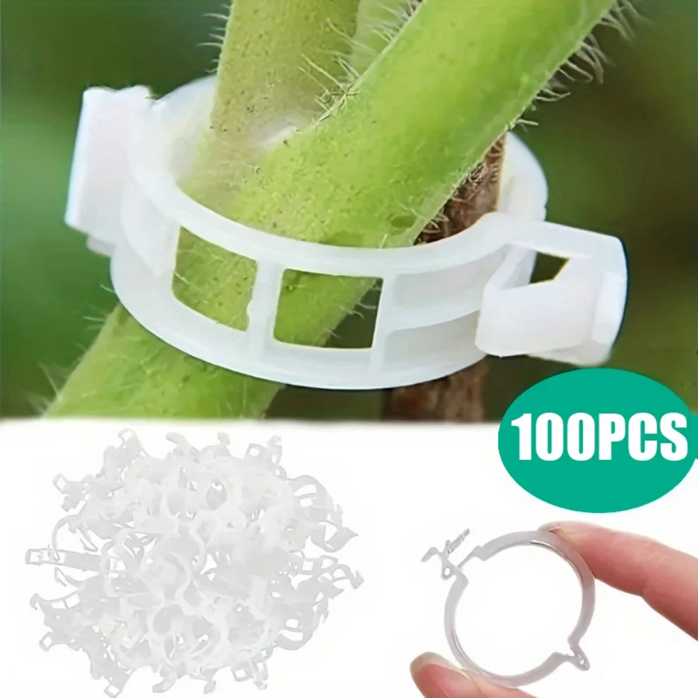 100 Kunststoff-Pflanzenclips, Wiederverwendbare Stützverbinder, Schützen Verpflanzte Pflanzen, Fixieren Gemüse und Tomaten, Gartenzubehör Image