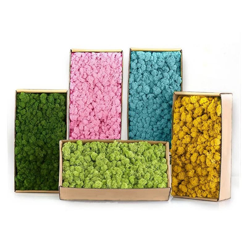Artificial Eternal Moss Grass | Mini Landscape Greenery | Realistic DIY Craft Moss For Home & Garden deep Green 100 G