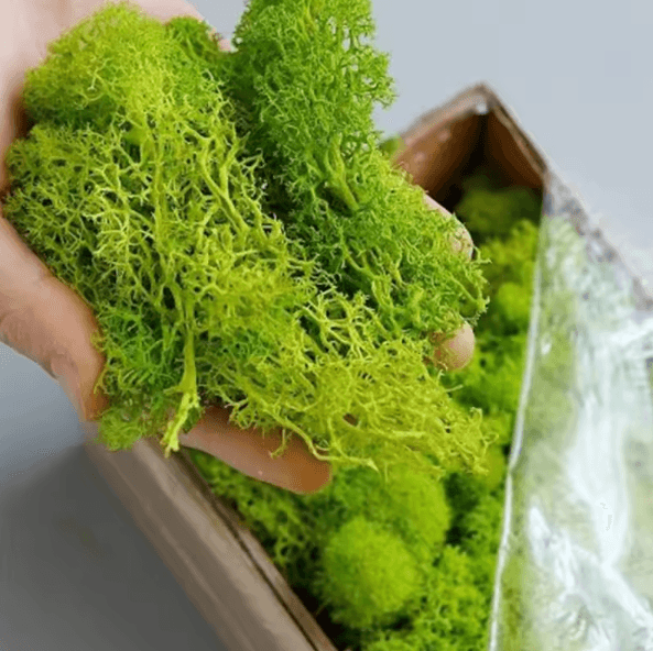 Artificial Moss Grass Realistic Mini Landscape Moss For DIY Crafts, Home & Garden Decor black 200gram