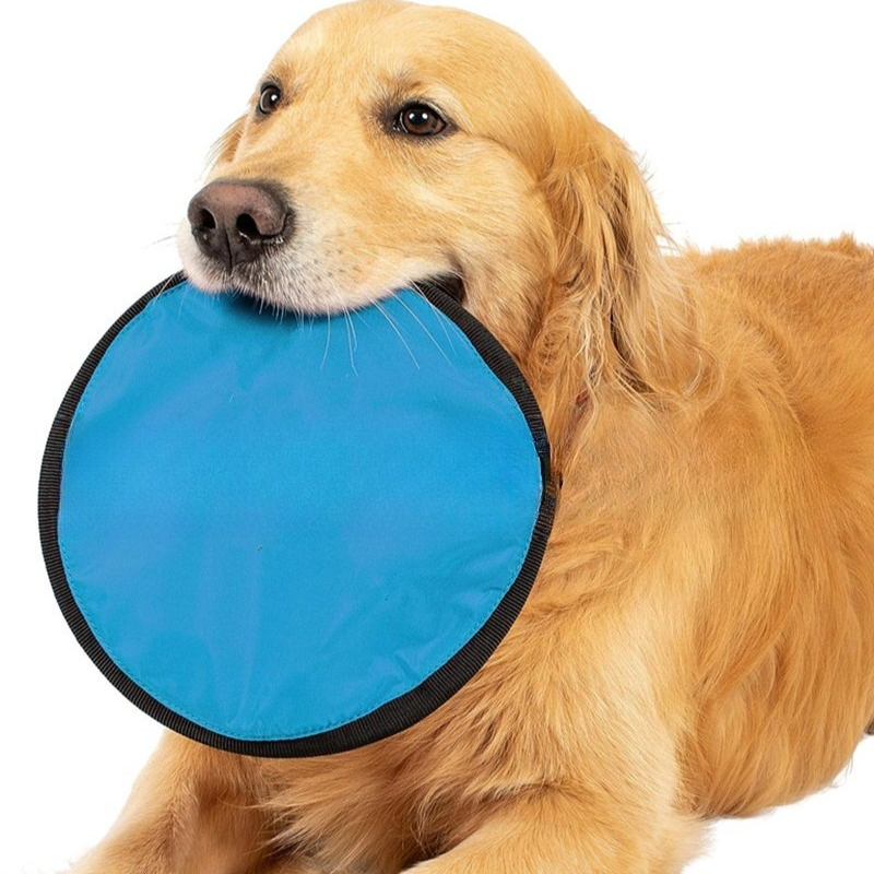 Portable Dog Training Flying Disc Breathable & Easy To Clean Interactive Training Toy For Pets blue