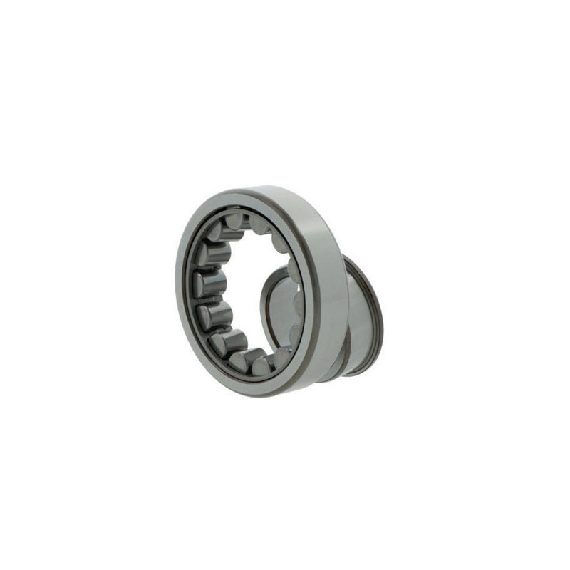 Skf - Cuscinetto A Rulli Cilindrici Nj315 Ecj 37mm Ad 160mm Id 75mm Foro Cilindrico