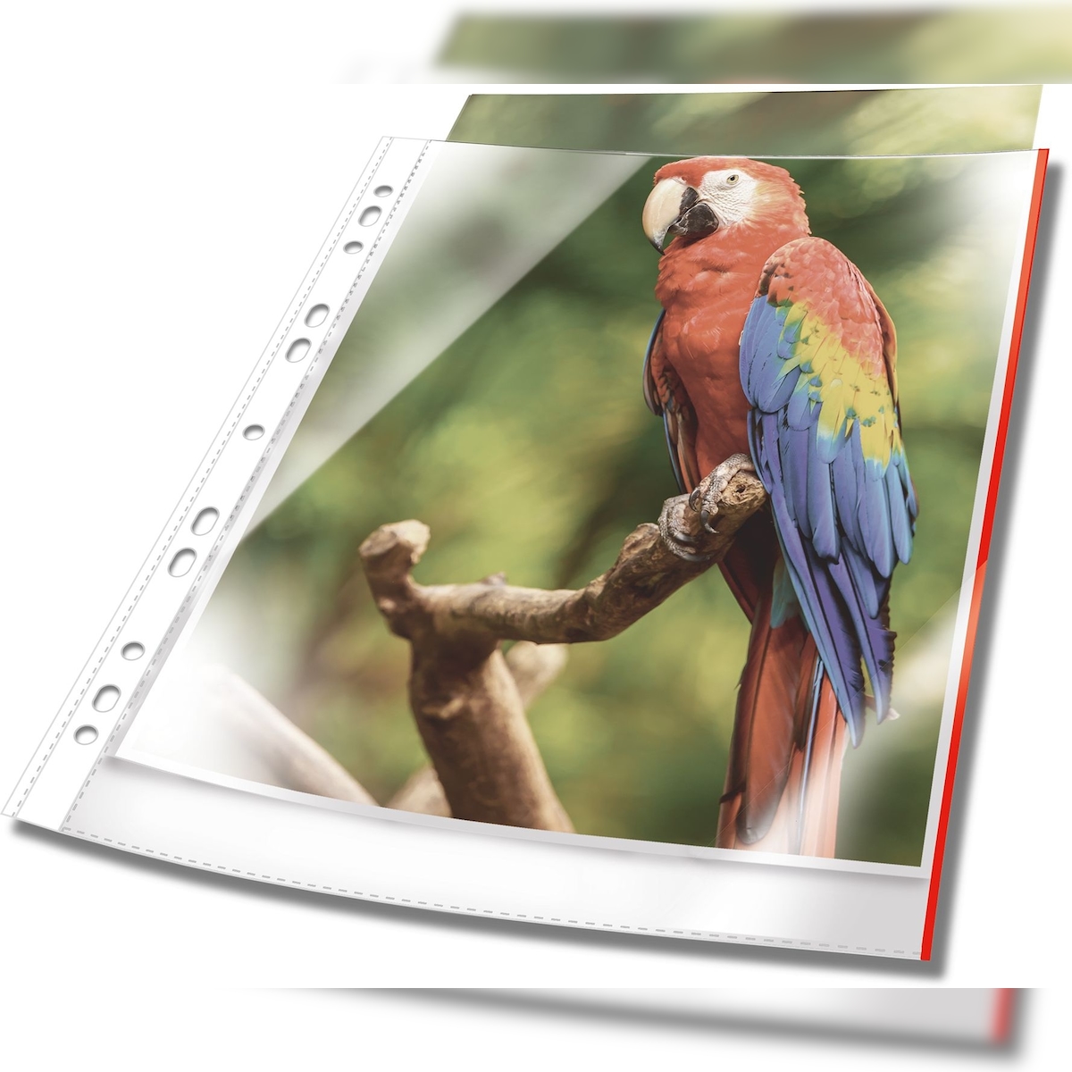 Card image cap