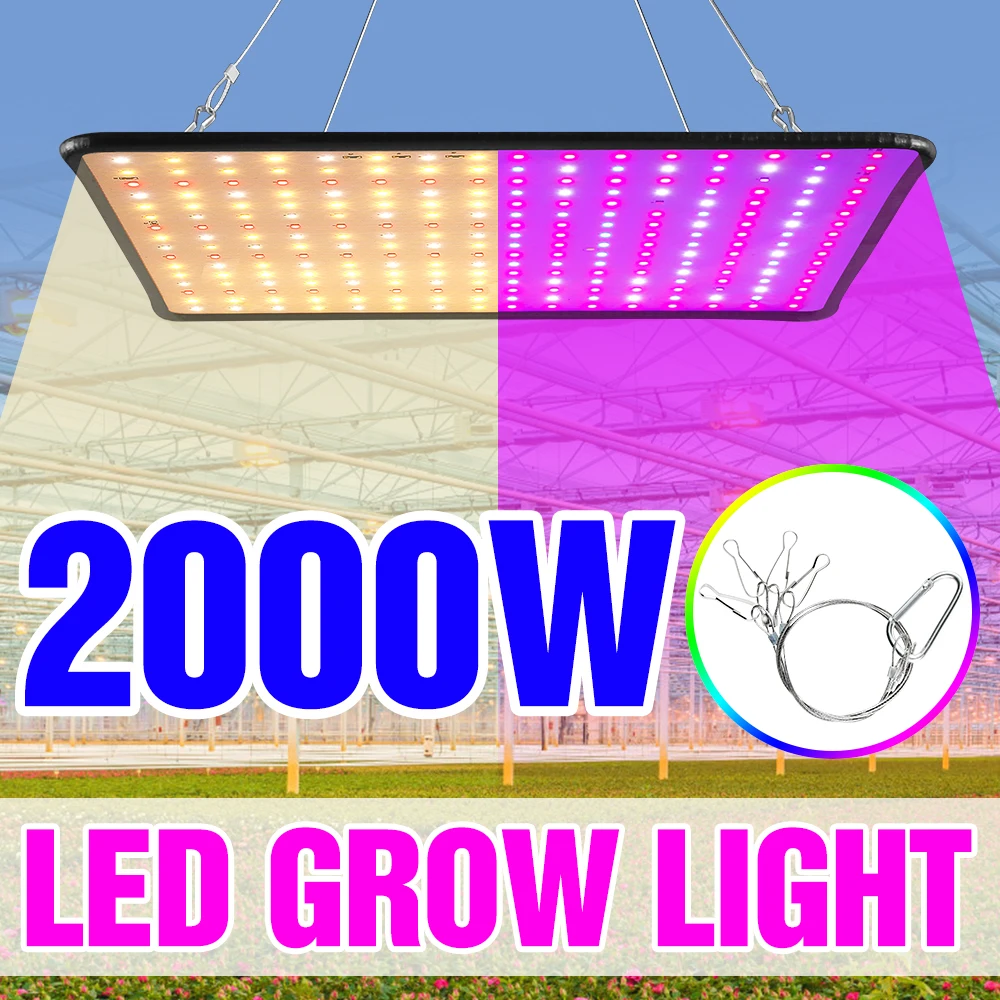 1000W LED-Pflanzenlampe Vollspektrum 1500W 2000W LED-Pflanzenleuchte für Gewächshäuser Indoor Phyto-Lampe Grow Tent US EU UK Stecker