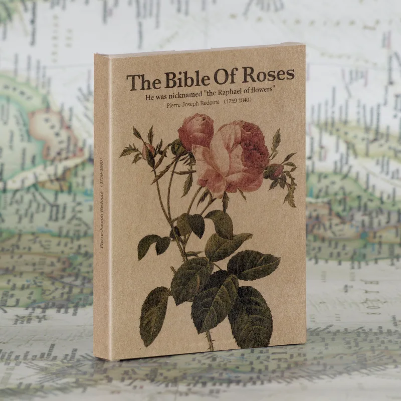 25 Teile/los Retro Kraft Papier Postkarten Die Bibel Von Rose Kunst Illustration Grußkarte Dekorative Karte Für DIY Junk Journal Geschenk Image