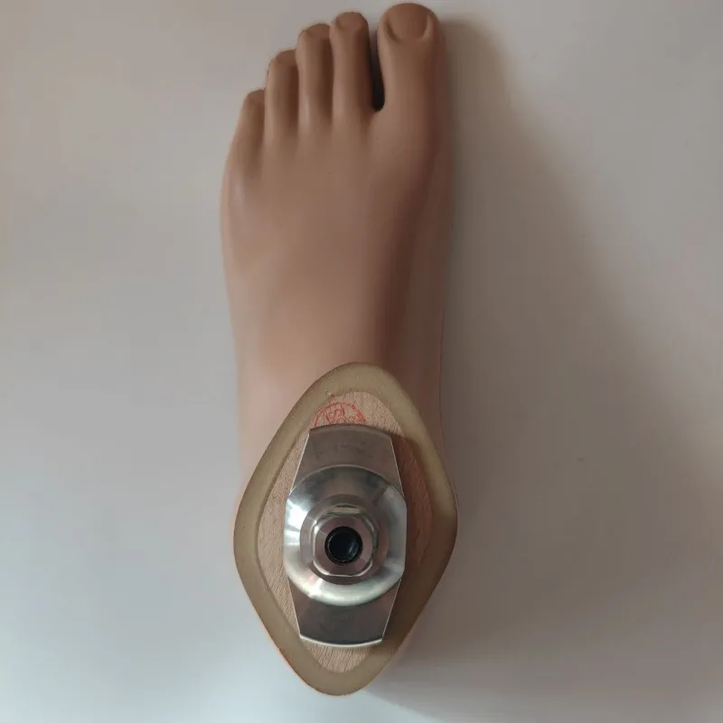 Set-Kombination Prothetisches Fußbrett Statischer Knöchel 22-27 cm Zubehör Teile Künstliche Gliedmaßen Orthesen Prothesen Steckdosen Befestigen Image
