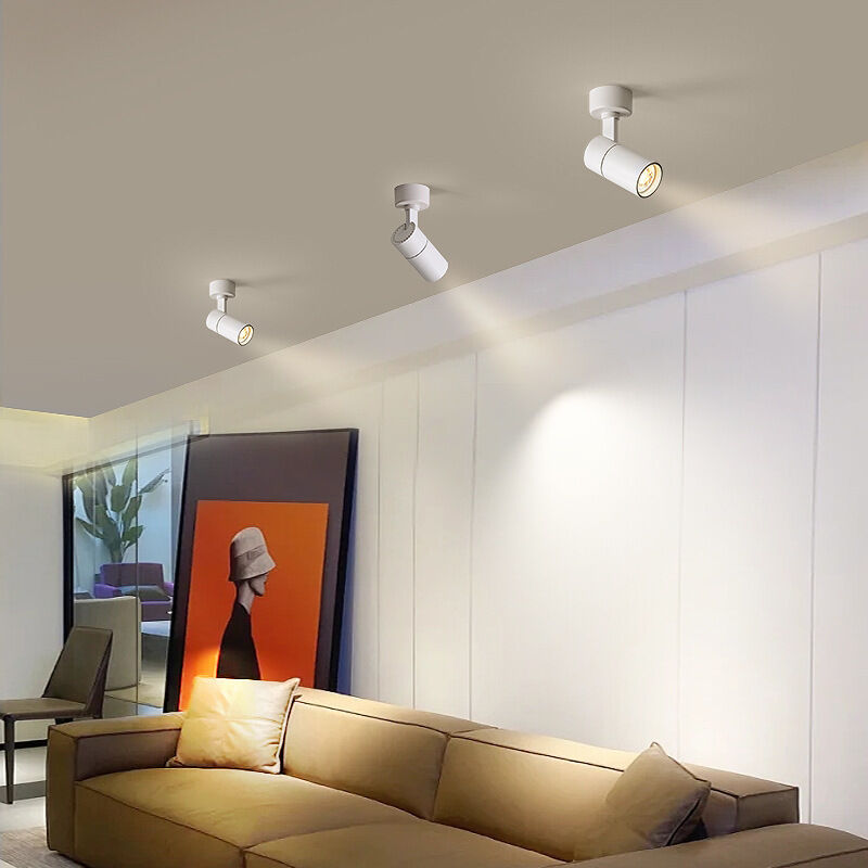 Rapanda - Faretto Per Interni Dimmerabile 2 Pezzi, Luce Led Dimmerabile 3000k/4000k/5000k, Faretto Per Piante Da 3w Illuminazione Per Interni, Luce D'Accento Per Piante Da Interno