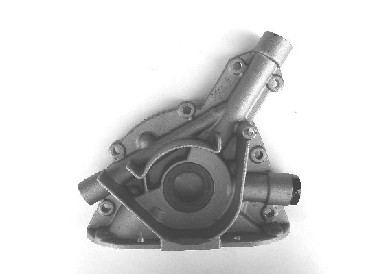 BGA Ölpumpe lp0308 für Opel Vaughall Image