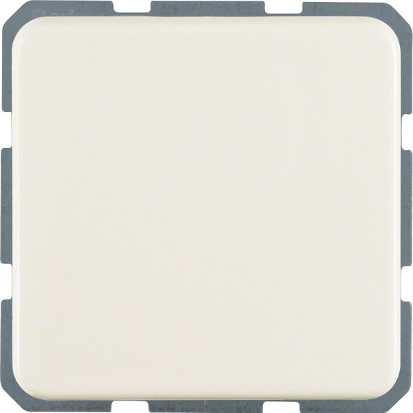 Berker Steckdose ws 4715 Image