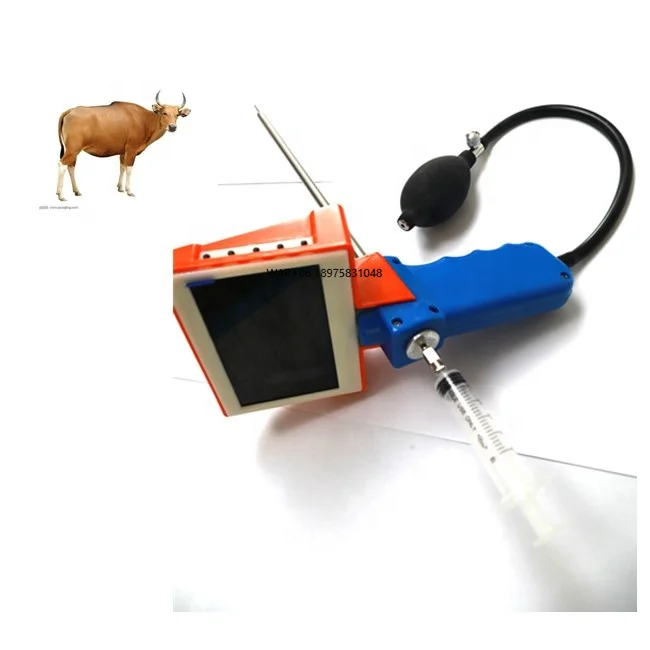Gerät zur künstlichen Befruchtung von Kühen. Endoskop zur Inspektion von Veterinärzucht in der Kuh. Sperma-Werkzeug für die Veterinärzucht Image