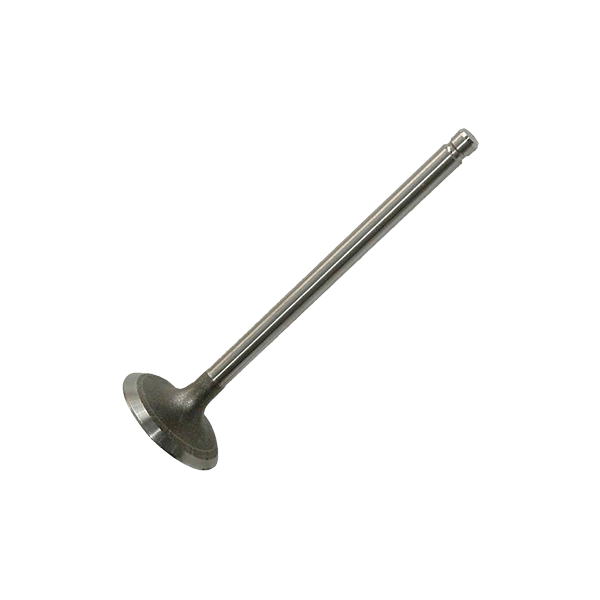 MAHLE Einlaßventil RENAULT,NISSAN 021 VE 30536 000 7701469266 Image