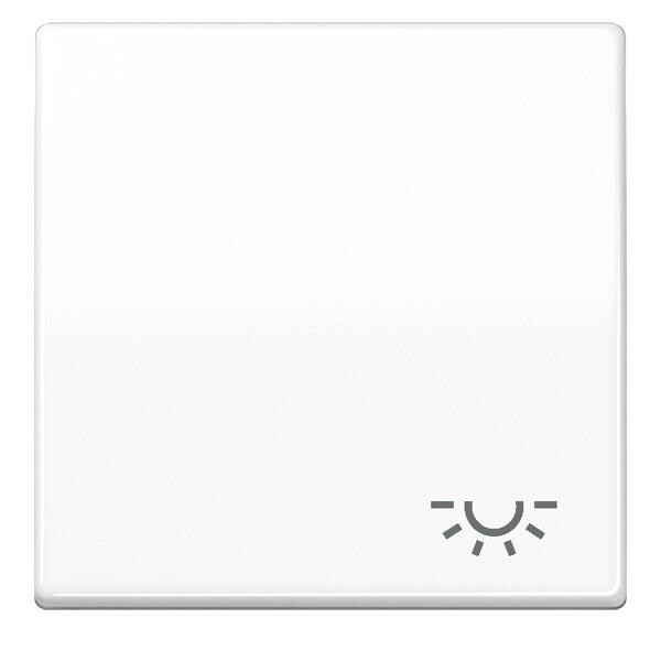 Jung Wippe Symbol LICHT aws AS 591 L WW AS591LWW Image