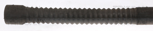 TRISCAN 86303845381 Image