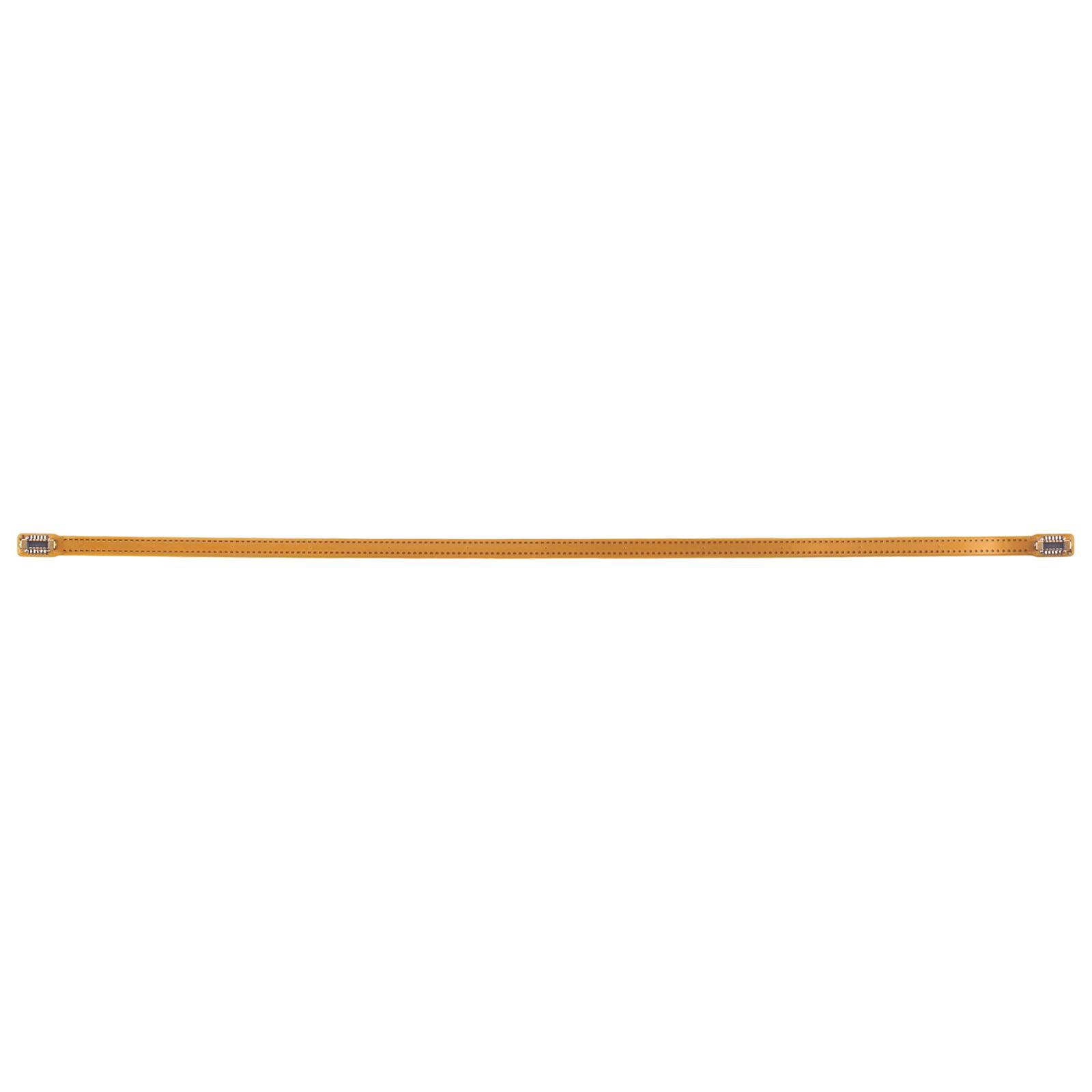 pro